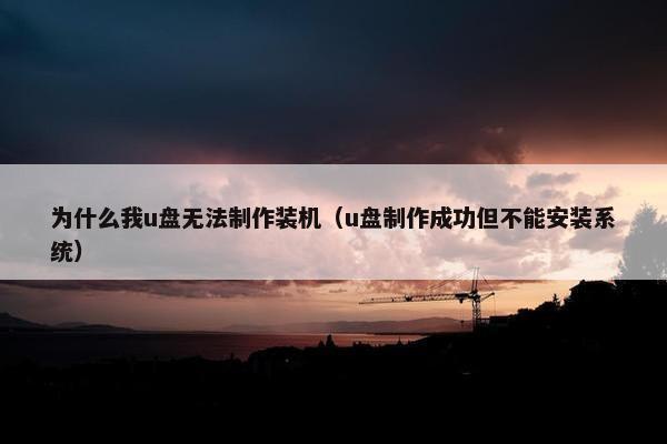 为什么我u盘无法制作装机（u盘制作成功但不能安装系统）