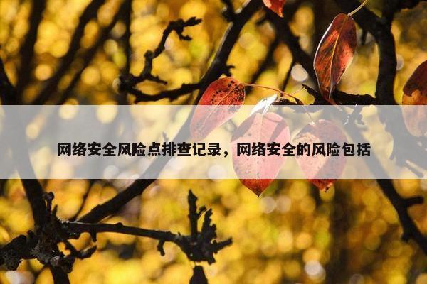 网络安全风险点排查记录，网络安全的风险包括