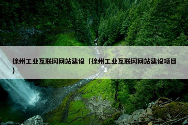 徐州工业互联网网站建设（徐州工业互联网网站建设项目）