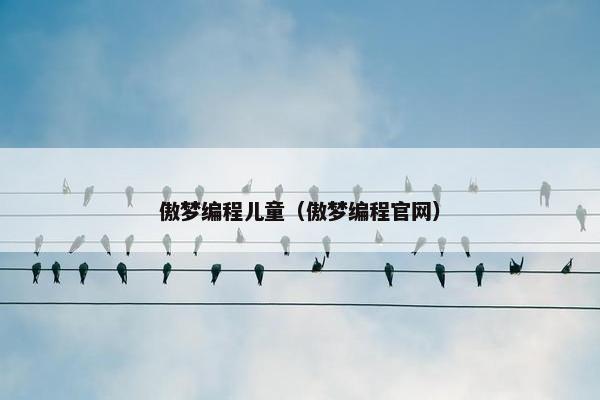 傲梦编程儿童（傲梦编程官网）
