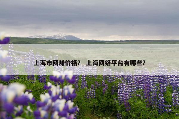 上海市网赚价格？ 上海网络平台有哪些？