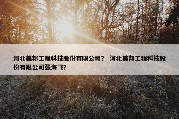 河北美邦工程科技股份有限公司？ 河北美邦工程科技股份有限公司张海飞？