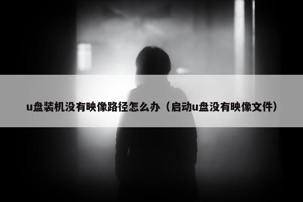 u盘装机没有映像路径怎么办（启动u盘没有映像文件）