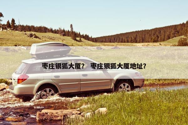 枣庄银狐大厦？ 枣庄银狐大厦地址？