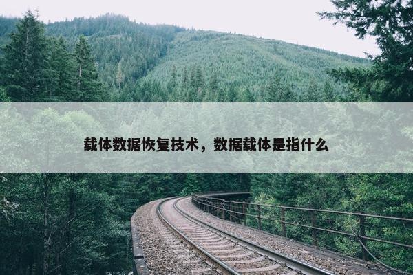 载体数据恢复技术，数据载体是指什么
