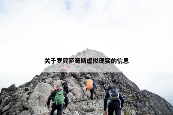 关于罗宾萨奇斯虚拟现实的信息