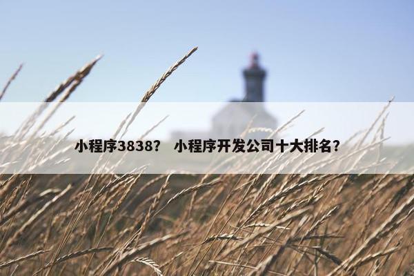 小程序3838？ 小程序开发公司十大排名？