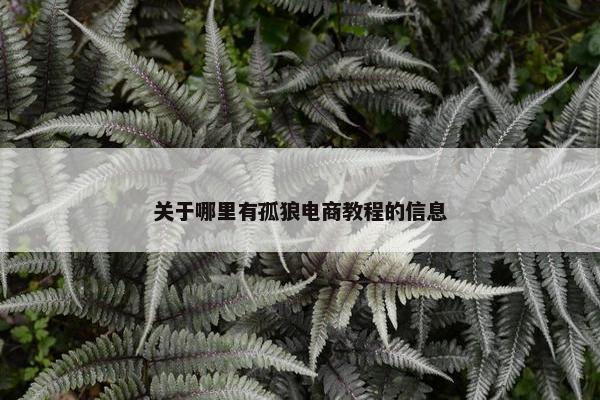 关于哪里有孤狼电商教程的信息