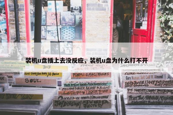 装机u盘插上去没反应，装机u盘为什么打不开