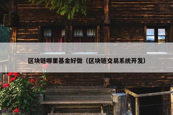 区块链哪里基金好做（区块链交易系统开发）