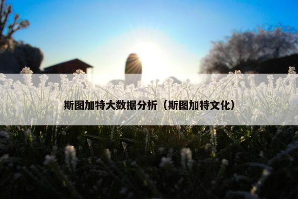 斯图加特大数据分析（斯图加特文化）
