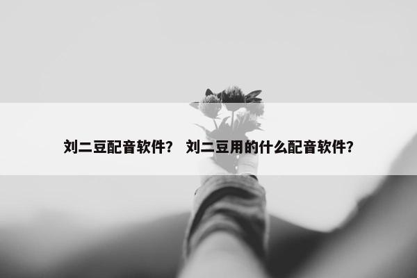 刘二豆配音软件？ 刘二豆用的什么配音软件？