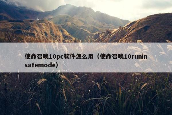 使命召唤10pc软件怎么用（使命召唤10runinsafemode）