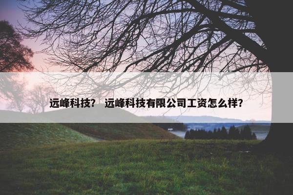 远峰科技？ 远峰科技有限公司工资怎么样？
