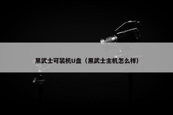 黑武士可装机U盘（黑武士主机怎么样）