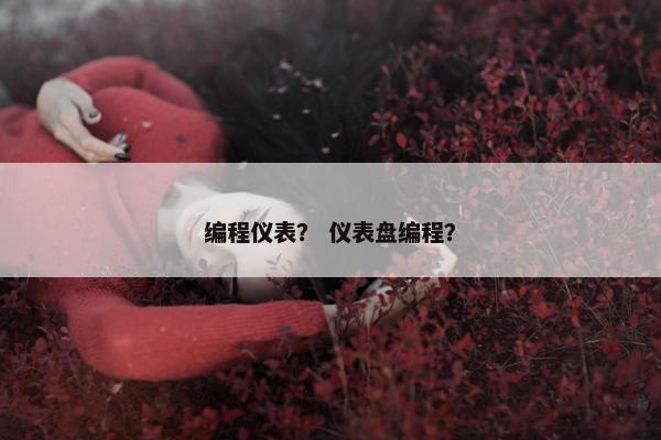 编程仪表？ 仪表盘编程？