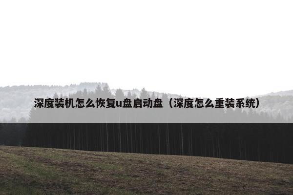 深度装机怎么恢复u盘启动盘（深度怎么重装系统）