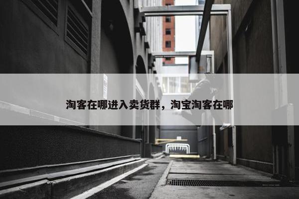 淘客在哪进入卖货群，淘宝淘客在哪