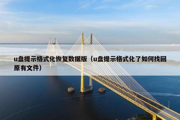 u盘提示格式化恢复数据版（u盘提示格式化了如何找回原有文件）