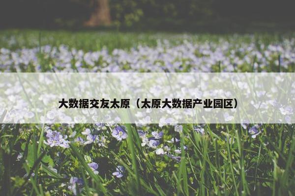 大数据交友太原（太原大数据产业园区）