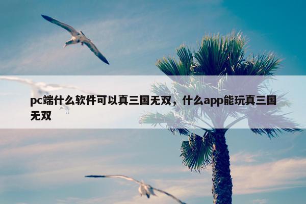 pc端什么软件可以真三国无双，什么app能玩真三国无双
