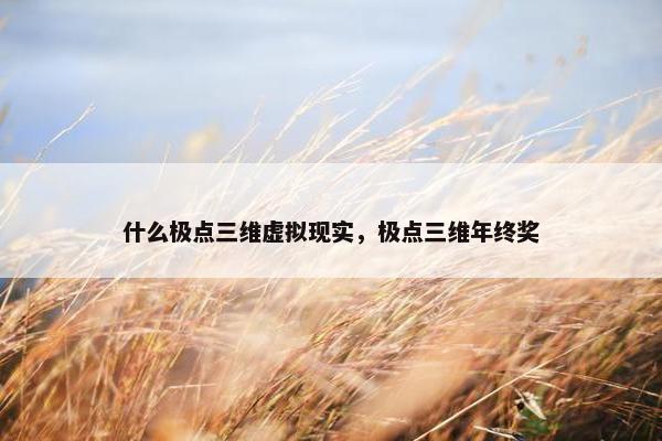 什么极点三维虚拟现实，极点三维年终奖