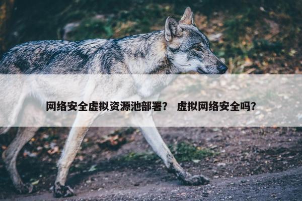网络安全虚拟资源池部署？ 虚拟网络安全吗？