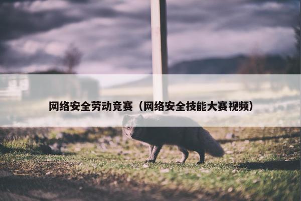 网络安全劳动竞赛（网络安全技能大赛视频）