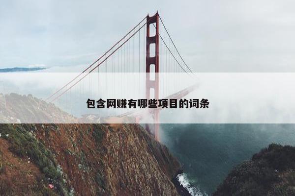 包含网赚有哪些项目的词条