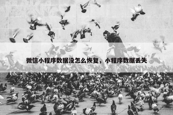 微信小程序数据没怎么恢复，小程序数据丢失