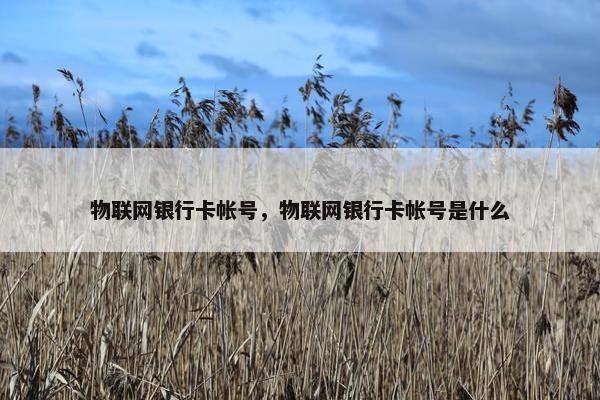 物联网银行卡帐号，物联网银行卡帐号是什么