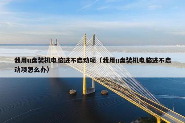 我用u盘装机电脑进不启动项（我用u盘装机电脑进不启动项怎么办）