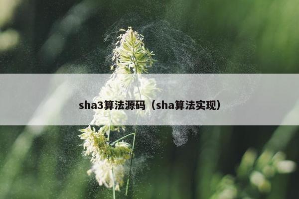 sha3算法源码（sha算法实现）