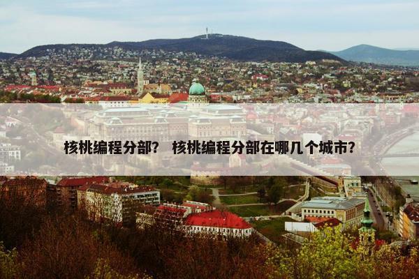 核桃编程分部？ 核桃编程分部在哪几个城市？