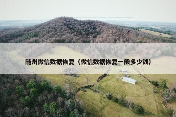 随州微信数据恢复（微信数据恢复一般多少钱）