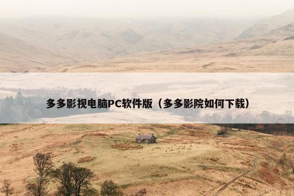 多多影视电脑PC软件版（多多影院如何下载）