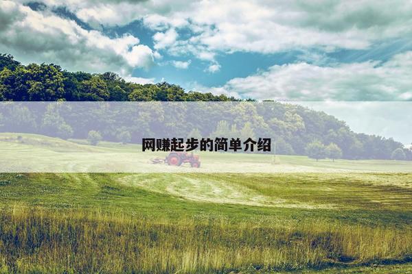 网赚起步的简单介绍