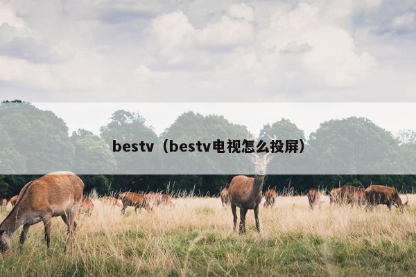 bestv（bestv电视怎么投屏）