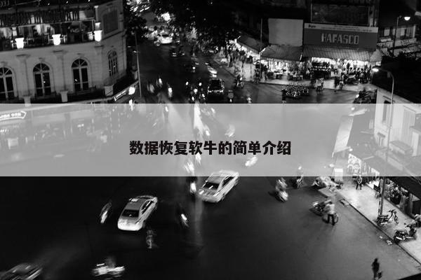 数据恢复软牛的简单介绍