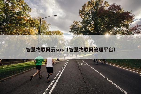 智慧物联网云sos（智慧物联网管理平台）