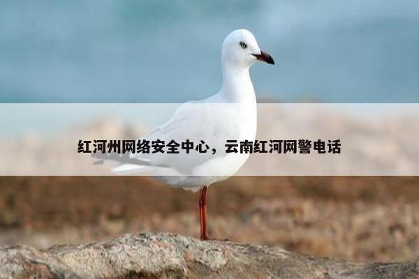 红河州网络安全中心，云南红河网警电话