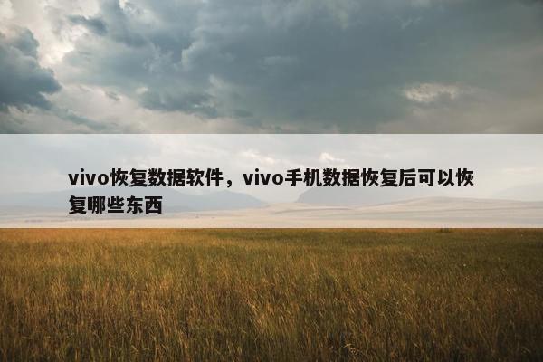 vivo恢复数据软件，vivo手机数据恢复后可以恢复哪些东西