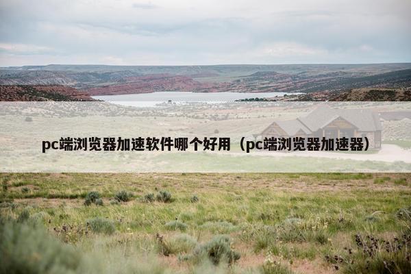 pc端浏览器加速软件哪个好用（pc端浏览器加速器）