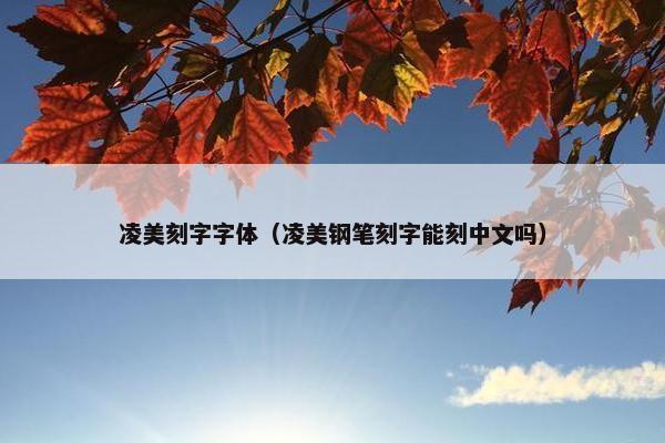 凌美刻字字体（凌美钢笔刻字能刻中文吗）