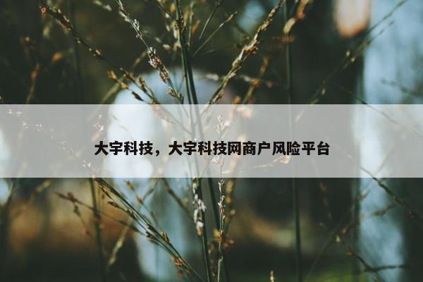 大宇科技，大宇科技网商户风险平台