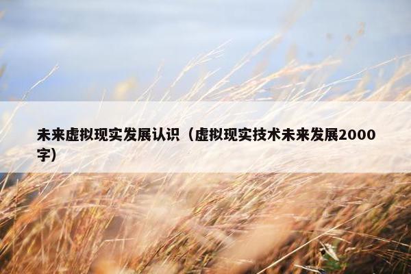 未来虚拟现实发展认识（虚拟现实技术未来发展2000字）