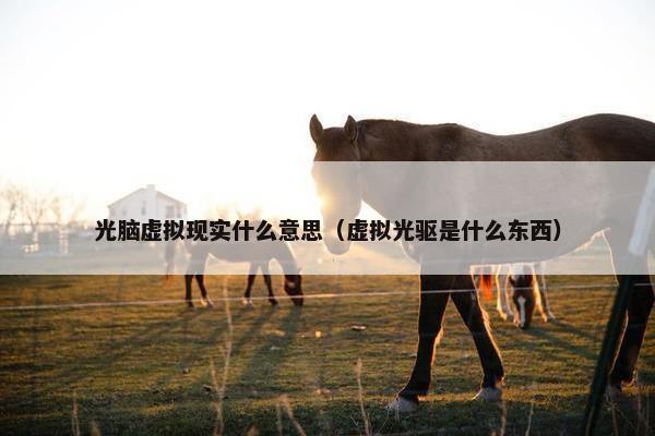 光脑虚拟现实什么意思（虚拟光驱是什么东西）