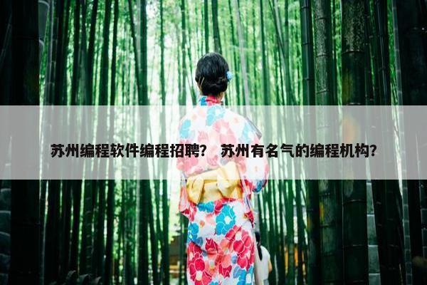 苏州编程软件编程招聘？ 苏州有名气的编程机构？