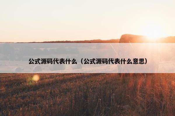公式源码代表什么（公式源码代表什么意思）