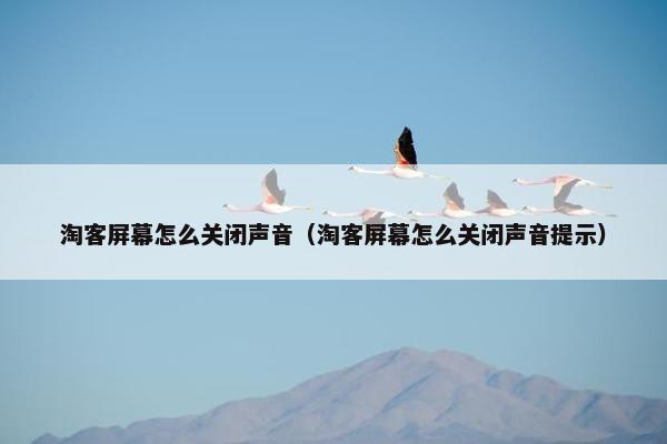 淘客屏幕怎么关闭声音（淘客屏幕怎么关闭声音提示）